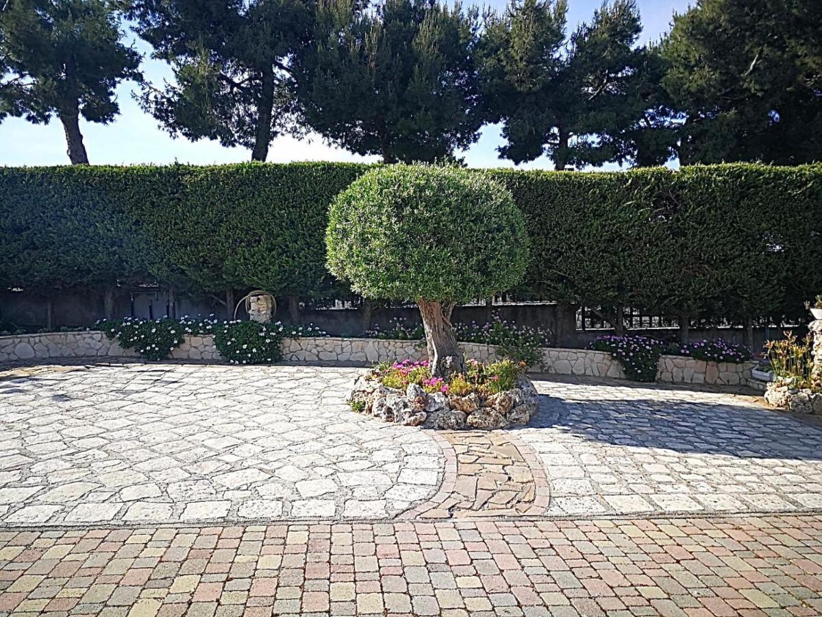 Villa Arenella Vieste Exterior foto